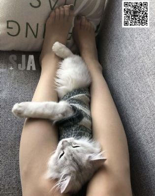 爱乃まほろ_剧情片HD在线观看